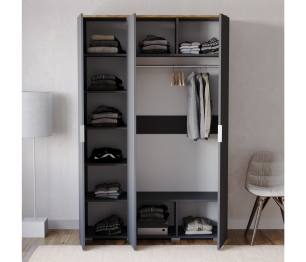 Шкаф распашной Ингрия 7