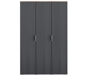 Шкаф распашной Ингрия 7